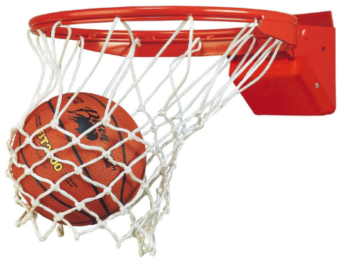 Bison Elite Plus Competition Breakaway Basketball Goal